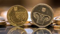 מטבע חמישה שקלים ו-10 אגורות (צילום: shutterstock).