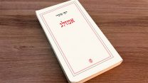 עטיפת הספר 'אמזלג' (באדיבות הוצאת עם עובד)