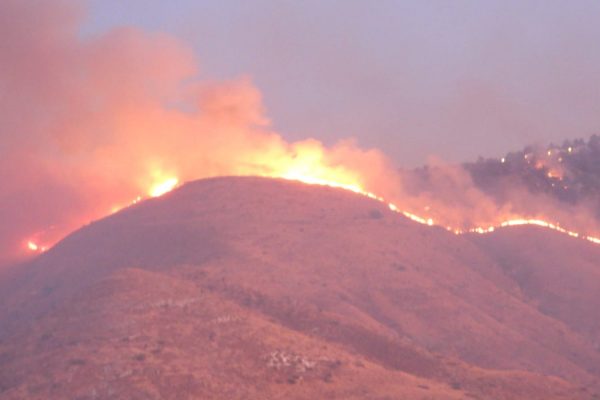 2,500 דונם משמורת הטבע סוסיתא נשרפו בשריפה שפרצה ב16 באוגוסט 2019. (צילום: עמי דורפמן/רשות הטבע והגנים)