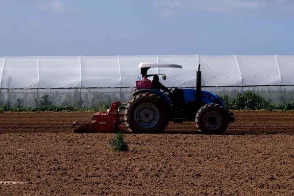 חקלאי נוהג בטרקטור בשדה חקלאי. ארכיון (צילום: נתי שוחט/פלאש90)