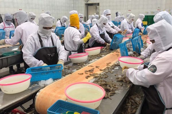 מפעל מזון לעיבוד מאכלי ים באינדונזיה (Norjipin Saidi / Shutterstock.com)