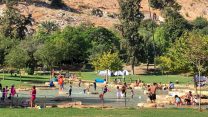 מטיילים במעיין חרוד (צילום ארכיון: איציק פאלח רשות הטבע והגנים)