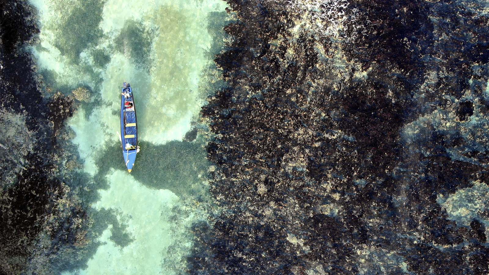 ספינת סיור מסיירת בשמורת וייט ריבר פיש באוצ'ו ריוס, ג'מייקה. 12 בפברואר 2019 (AP Photo/David Goldman)
