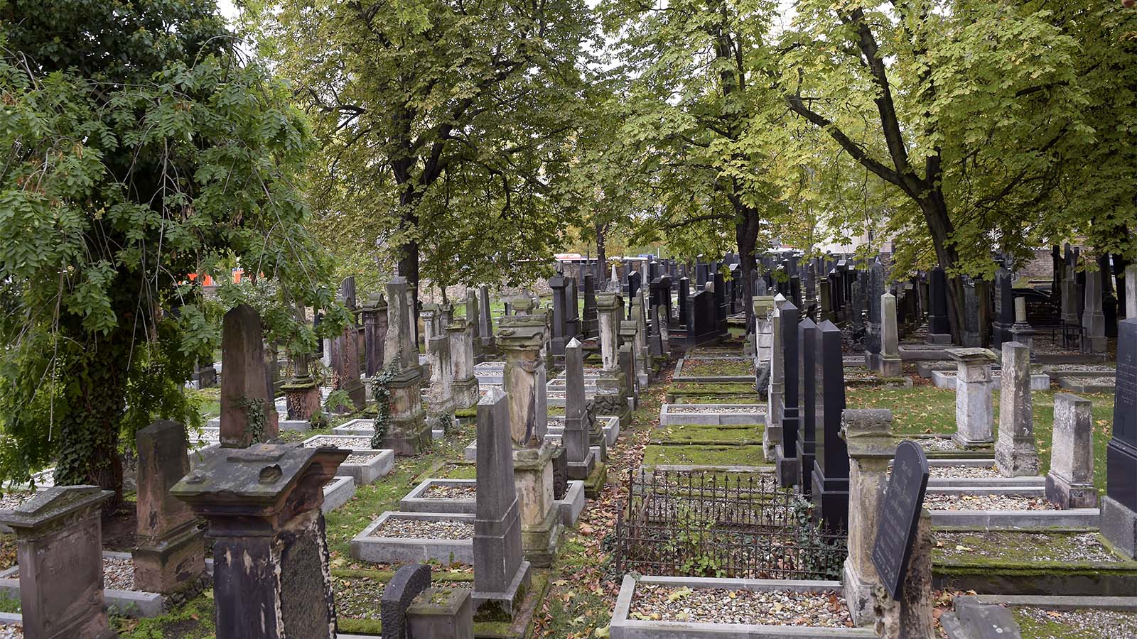 בית הקברות היהודי בעיר האלה, גרמניה. (AP Photo Jens Meyer)