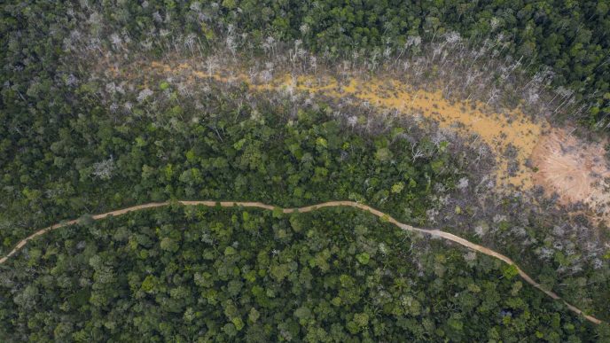 צילום אווירי של חלק הרוס בג'ונגל בפרו בעקבות פעילות כרייה לא חוקית. 3 באפריל 2019 (AP Photo/Rodrigo Abd)