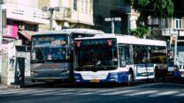 אוטובוסים (צילום אילוסטרציה: Jose HERNANDEZ Camera 51 / Shutterstock.com)