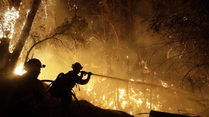 לוחמי אש בשריפה בקליפורניה. 1 בנובמבר 2019. (AP Photo/Marcio Jose Sanchez)