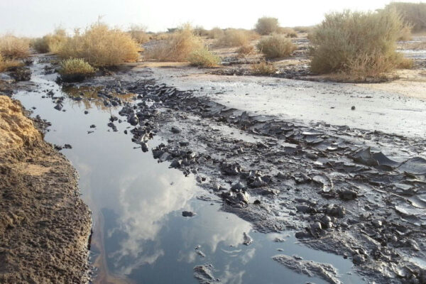 זיהום הנפט בשמורת עברונה ב-2014. &quot;אם לא נשקיע בשיפור מצב הנחלים, לא נוכל להמשיך לחיות כאן&quot; (צילום: המשרד להגנת הסביבה)