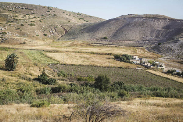 שטח חקלאי בבקעת הירדן (AP Photo/Lindsey Leger)
