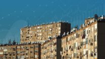 (צילום אילוסטרציה: Shutterstock)