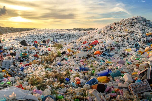 פסולת פלסטיק (צילום: Shutterstock)