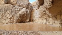 תצפית בירכת צפירה. (צילום: ג’אמיל אלאטרש רשות הטבע והגנים)