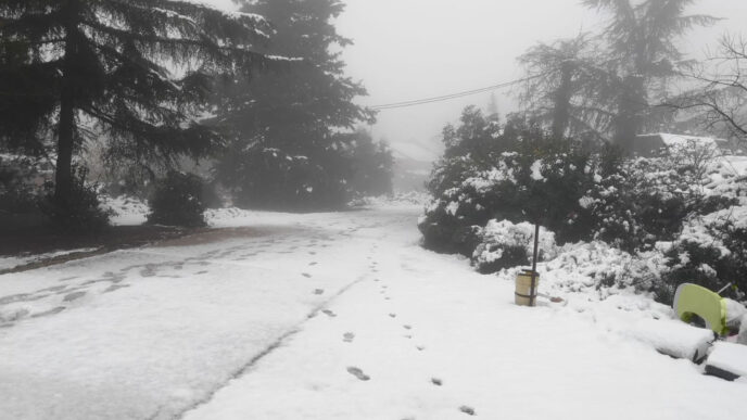 שלג ברמת הגולן, 4 בינואר 2020. (קרדיט: דבר)