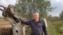 אבי ציטרשפילר (צילום: שי ניר)