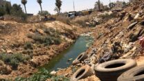 ביוב ופסולת בתוואי נחל (צילום: המשרד להגנת הסביבה)