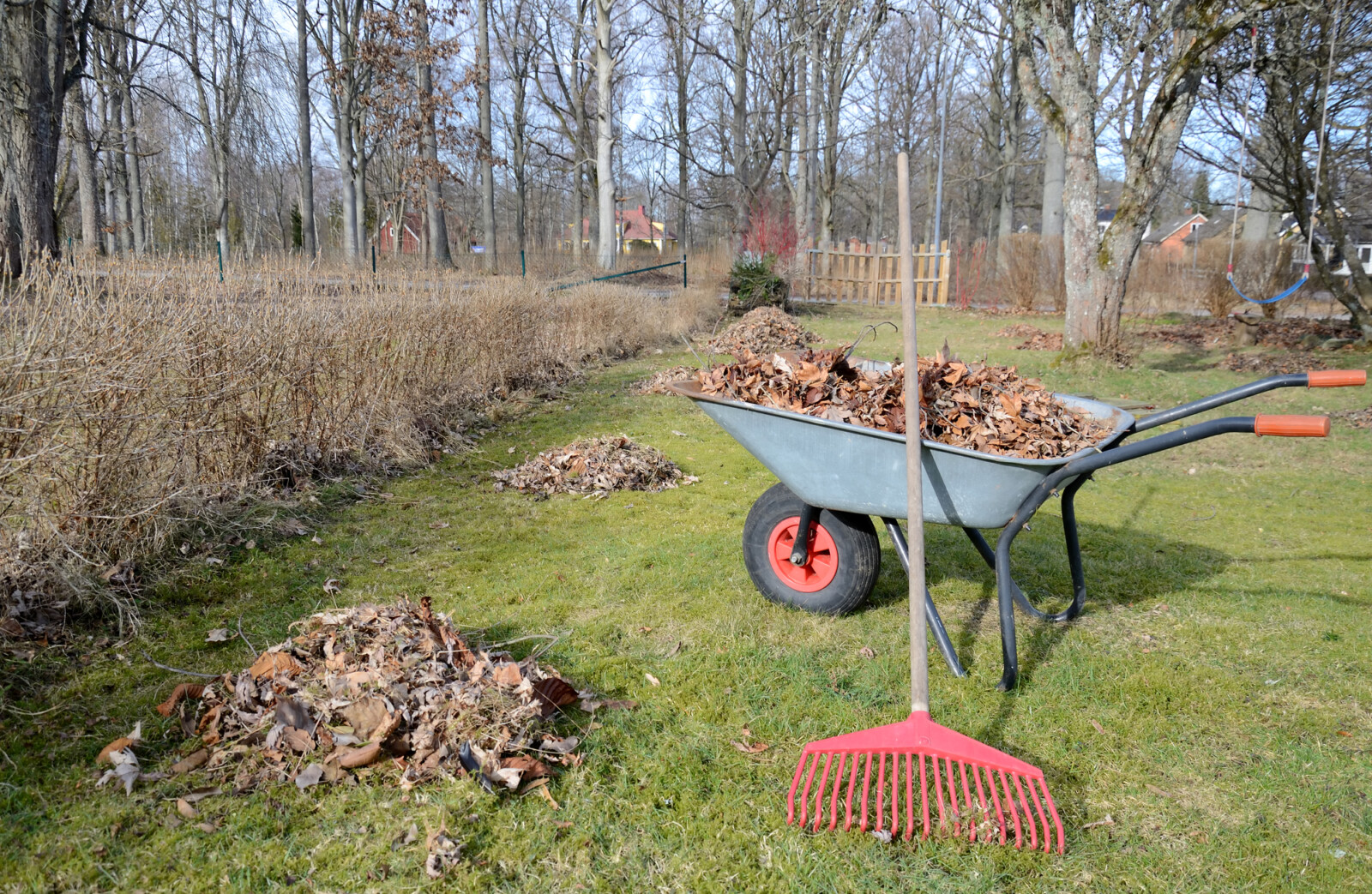 Garden cleaning קרדיט: depositphotos