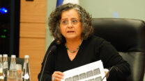 יו"ר ועדת הרווחה, ח"כ תומא-סלימאן (צילום: דוברות הוועדה)