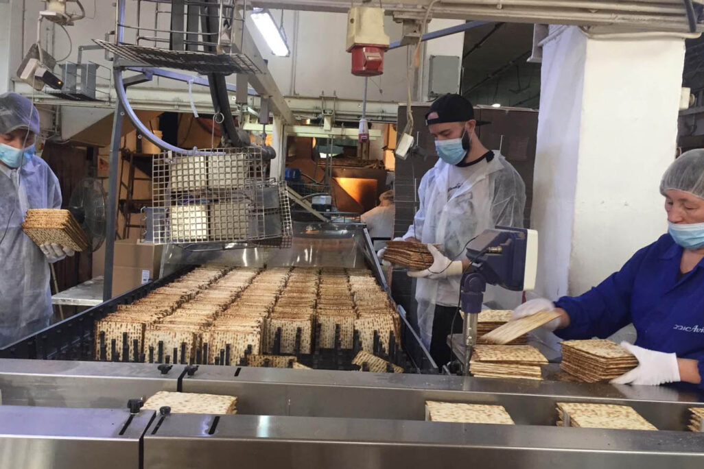 Matzot Aviv factory production line in Bnei Brak, during COVID-19 crisis, April 5, 2020 (Photograph: Roi Wolf)