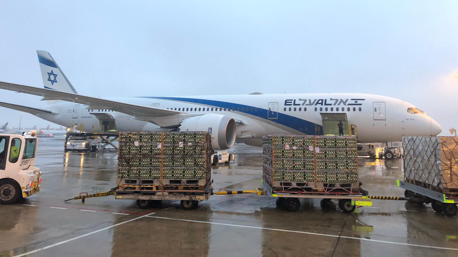 El Al plains freighting eggs to Israel, a commodity in need during the COVID-19 crisis, April 7 2020 (Photograph: El Al)
