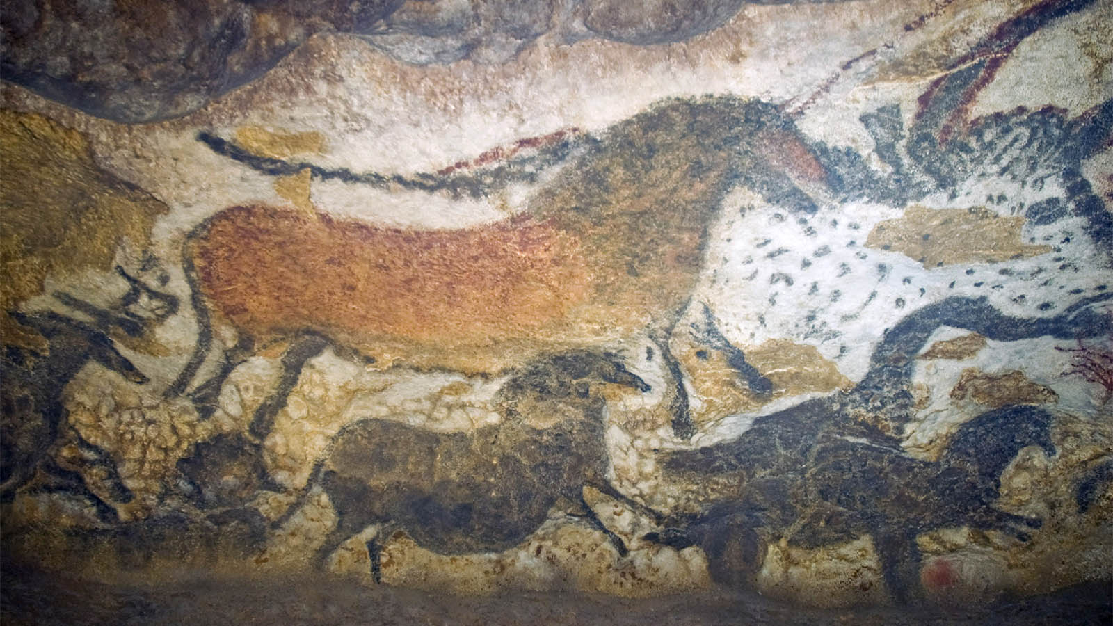 ציורי קיר של חיות במערה לאסקו, דרום צרפת. (קרדיט: ויקימדיה קומונס)