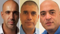 אופיר הרפז, רוני רז, יחיאל שמן (באדיבות המצולמים)