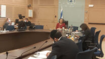 דיון חירום של הוועדה המיוחדת לענייני רווחה ועבודה בכנסת על אלימות במשפחה. (צילום: דוברות הכנסת, לירון וייס)