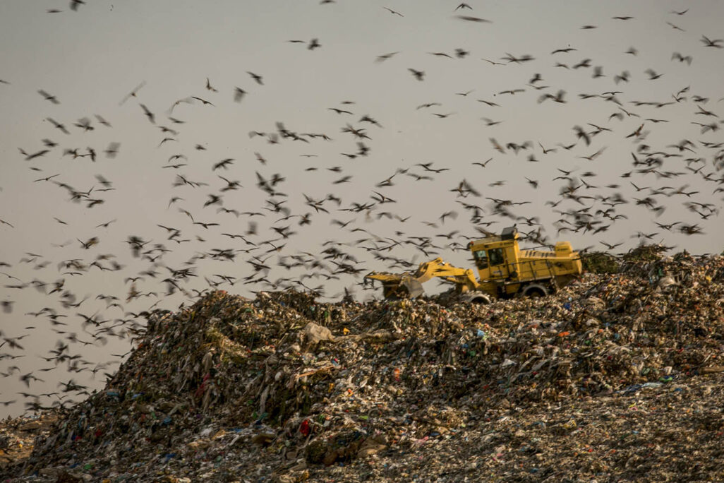 אתר הטמנת פסולת בסמוך לעיר רהט (צילום: יניב נדב/פלאש90)