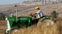 חקלאי על טרקטור בשדה בקיבוץ להב (צילום ארכיון: משה שי / פלאש 90)