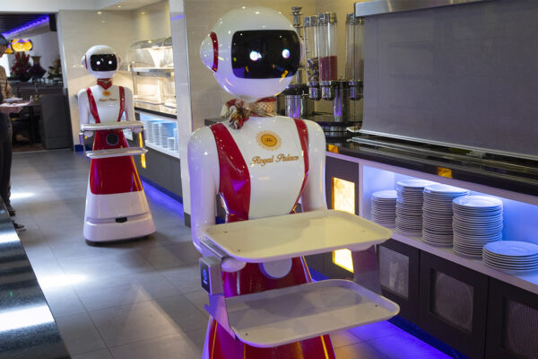 שני מלצרים רובוטיים בפעולה במסעדת ה'רויאל פאלאס' בדרום-מערב הולנד (צילום:AP Photo/Peter Dejong)