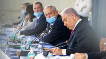 ישיבת ממשלה, יוני 2020 (צילום: מארק ישראל סלם)