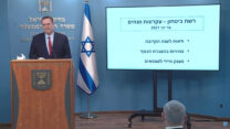 שר האוצר ישראל כ"ץ מציג את התכנית הכלכלית החדשה (צילום מסך)