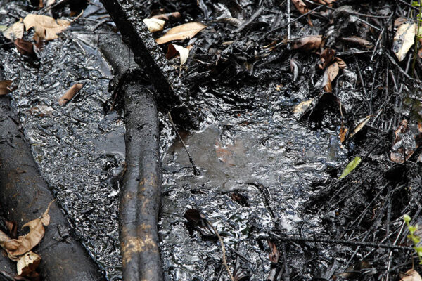 נזקי נפט במחוז לאגו אגריו (צילום: Cancillería del Ecuador/flickr)