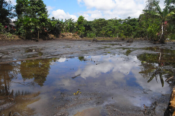 נזקי נפט במחוז לאגו אגריו שבאקוודור (צילום: Julien Gomba/flickr)
