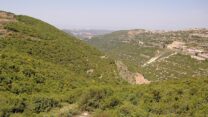 תצפית על שמורת הר מירון מבית ג'אן (צילום: Shutterstock)