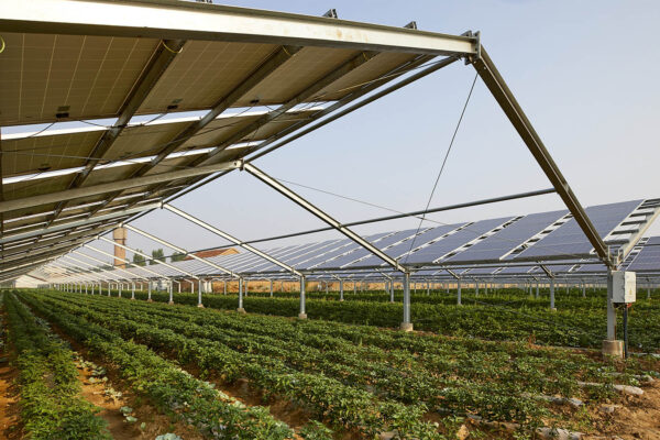 Solar panels on agricultural land (photo illustration: Shutterstock)