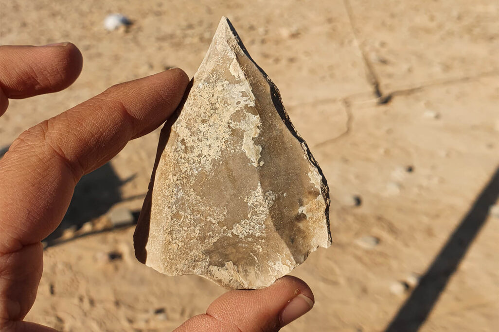 A flint tool excavated at the site near Dimona (Photograph: Amil Aljem)
