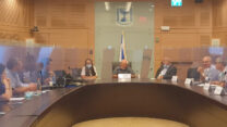 ועדת העבודה והרווחה (צילום: דוברות הוועדה)