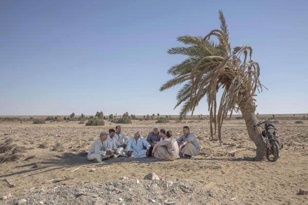 מחלוף אבו קאסם וחבריו החקלאים, יושבים בצילו של עץ דקל שיבש, על אדמה שפעם היתה פורייה ליד העיר פיום במצרים (AP Photo/Nariman El-Mofty)