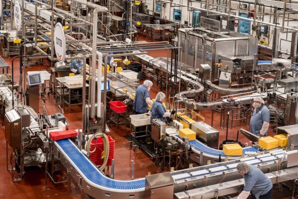 עובדים במפעל גבינות באורגון, בארה"ב (צילום: shutterstock)