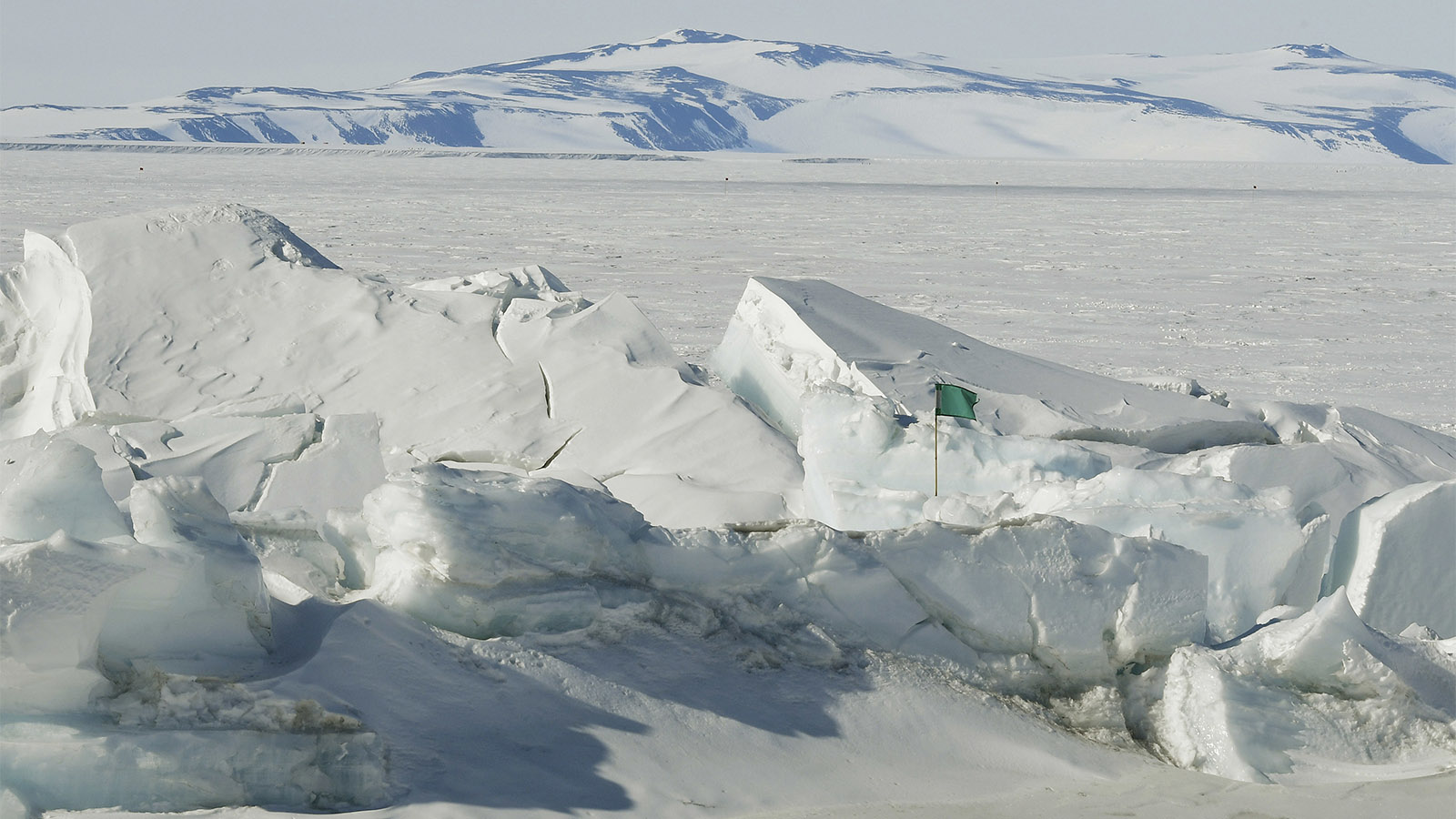 אנטארקטיקה (צילום ארכיון: Mark Ralston/Pool Photo via AP, File)