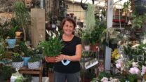 בלה קרבס. "הצמחים הכי נמכרים הם צמחי תבלין ופרחים, ובזמן האחרון גם יותר צמחי בית וסוקולנטים" (צילום: אלבום פרטי)