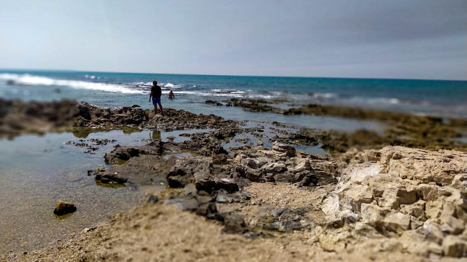 תשליך בחוף הים בחיפה לפני יום כיפור (צילום: יהל פרג')