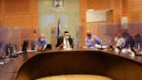 דיון בוועדת החוקה (צילום: דוברות הכנסת)