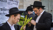 ארבע מינים בירושלים. למצולמים אין קשר לכתבה (צילום: שוקי פיטוסי, פלאש 90)