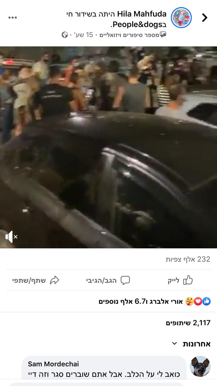 מעל 230 אלף צפיות צבר שידור הלייב של מחפודה אמש, מחוץ לביתו של הגבר שהתעלל בכלב (צילום מסך מפייסבוק)