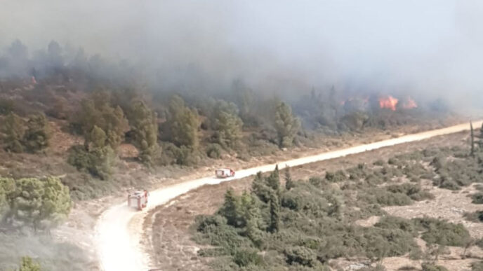 מאמצי הכיבוי בוואדי ערה (צילום: משטרת ישראל)