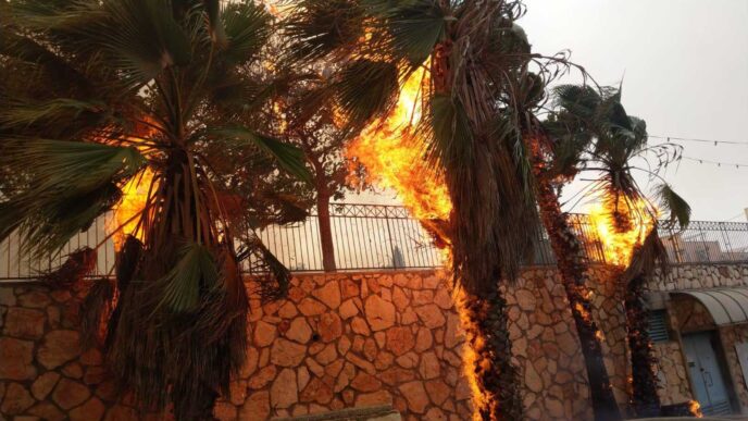 נוף הגליל (צילום: שימי משעול)