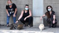 מריה מדבדב (מימין), שרית זכאי ויעל ויצמן עם החתולים בשעת הארוחה. "העבודה שלנו מאוד אינטנסיבית, לחץ והרבה שעות, ופתאום בבת אחת זה נעצר" (צילום: אליאנה ויינברגר)