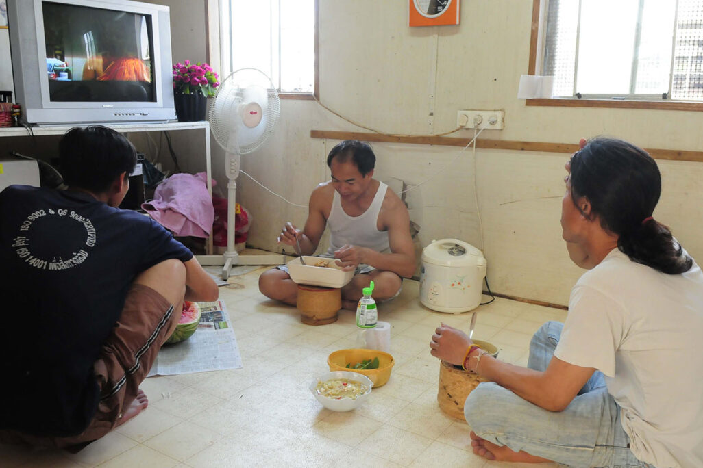 עובדים תאילנדים בחקלאות. למצולמים אין קשר לכתבה (צילום: תומר ניוברג/ פלאש 90)