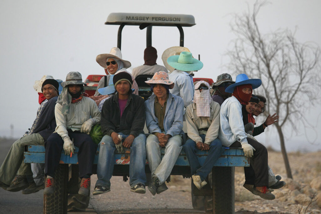 עובדים תאילנדים בחקלאות (צילום: נתי שוחט/ פלאש90)